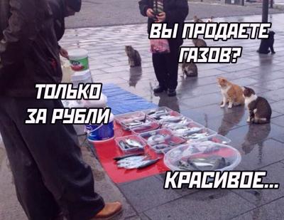 Прикрепленное изображение: газ.jpg